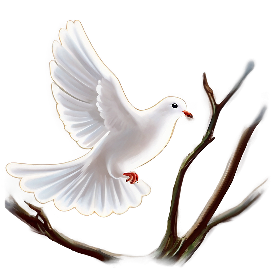 Dove Outline Clipart Png 81 PNG Image