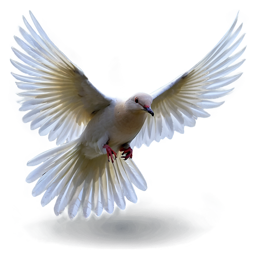 Dove Wings Png 05042024 PNG Image