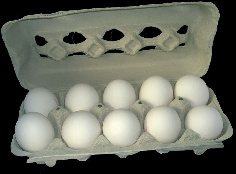 Dozen White Eggsin Carton PNG Image