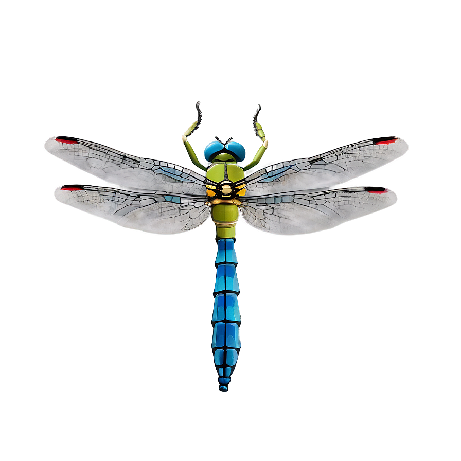 Dragonfly Hovering Png 06112024 PNG Image