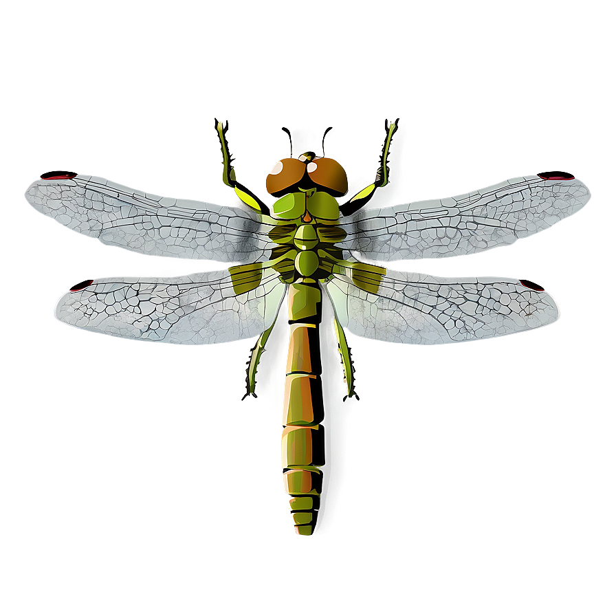 Dragonfly Illustration Png 27 PNG Image