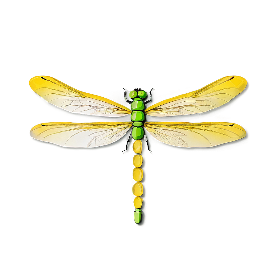 Dragonfly Pattern Png 05212024 PNG Image