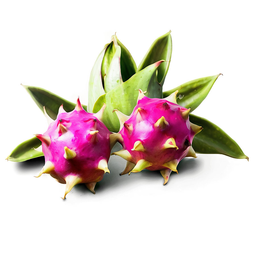 Dragonfruit Illustration Png Bix50 PNG Image