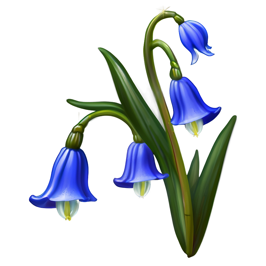 Dreamy Bluebell Png 06252024 PNG Image