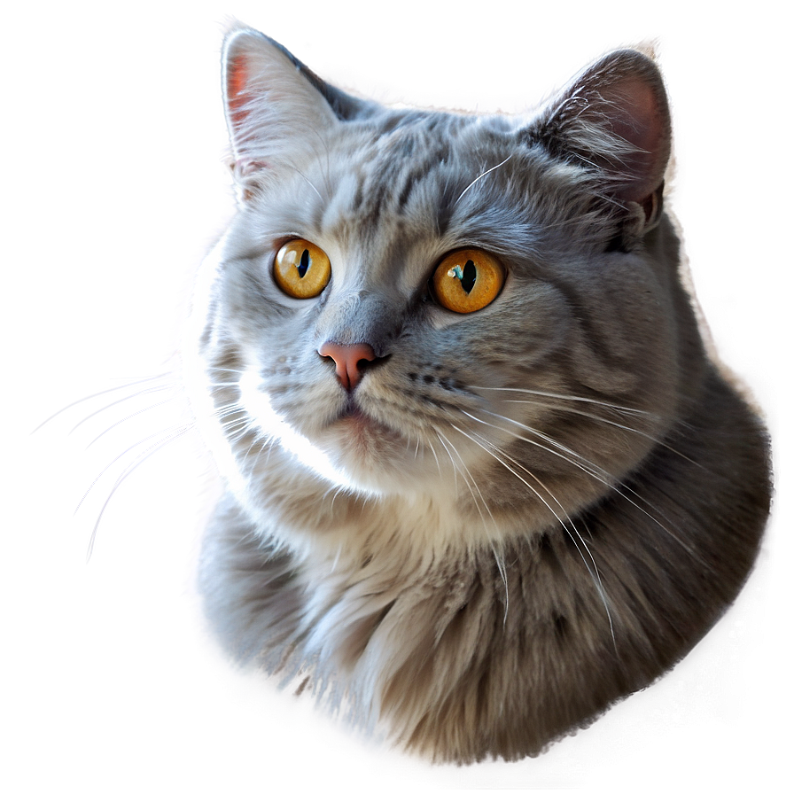 Dreamy Cat Artwork Png Efg52 PNG Image