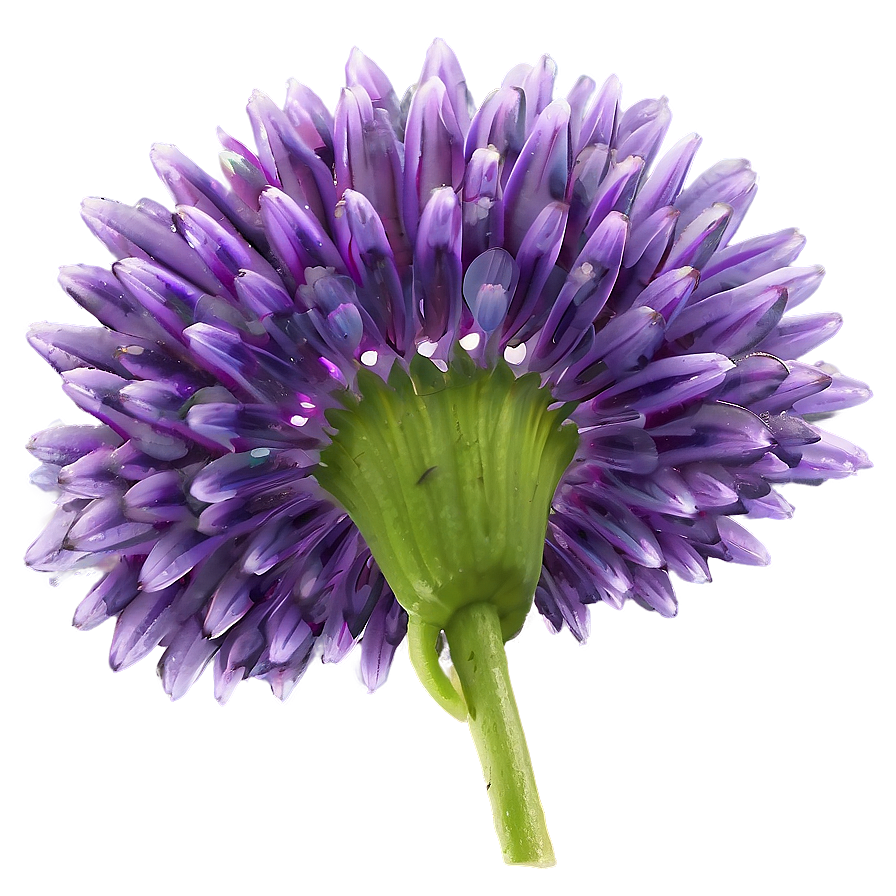 Dreamy Purple Flower Png Akl22 PNG Image