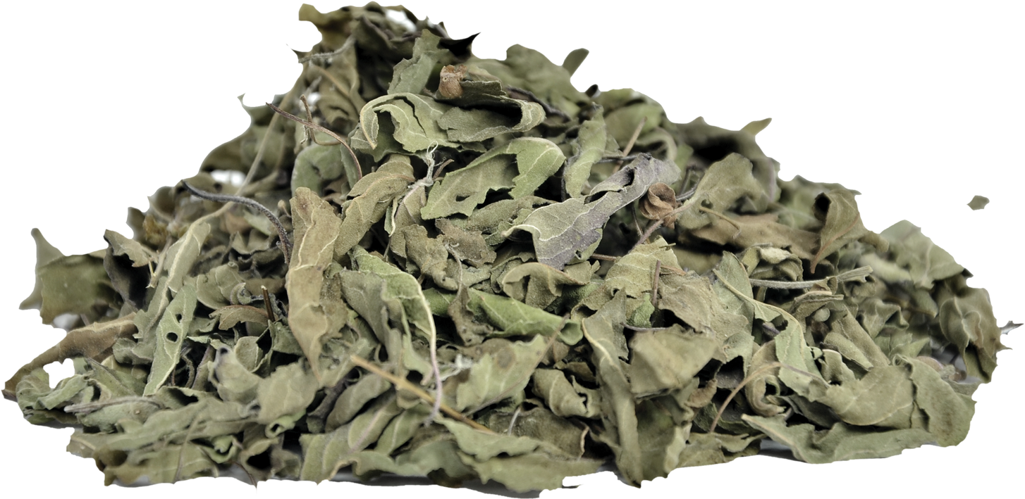 Dried Basil Leaves Texture PNG Image