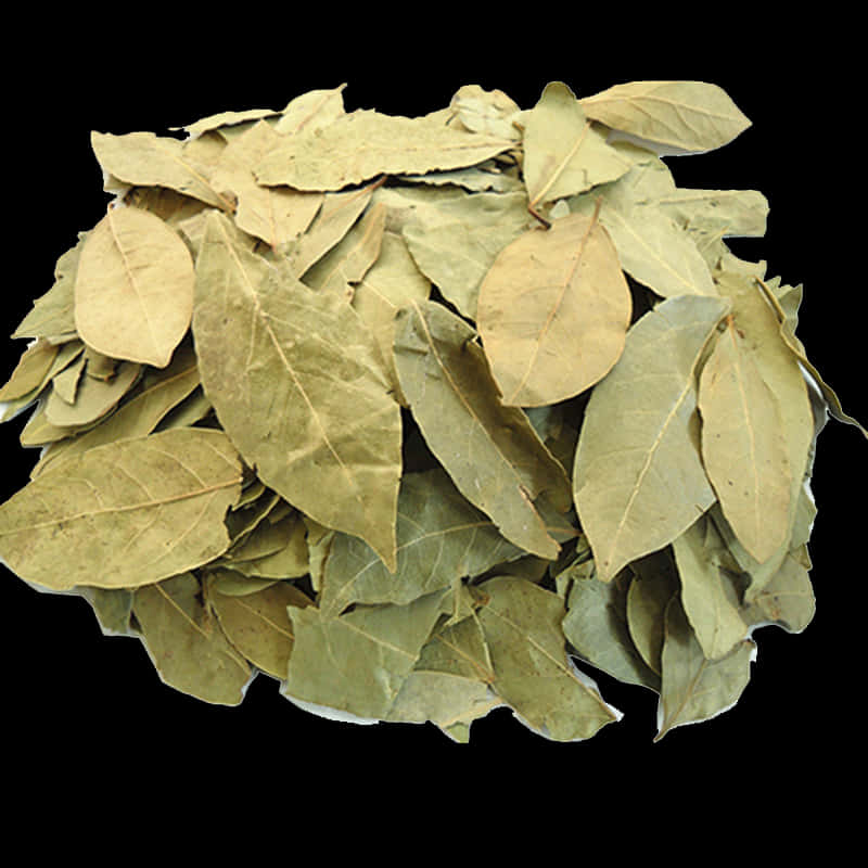 Dried Bay Leaves Herbal Spice PNG Image