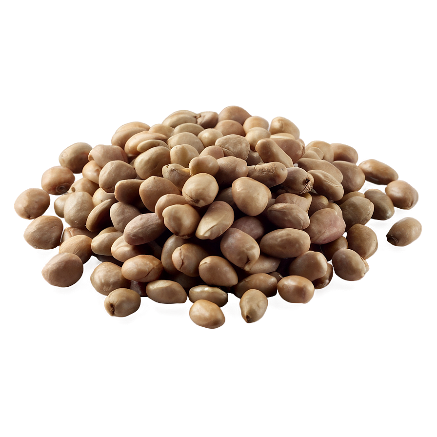 Dried Beans Png 47 PNG Image