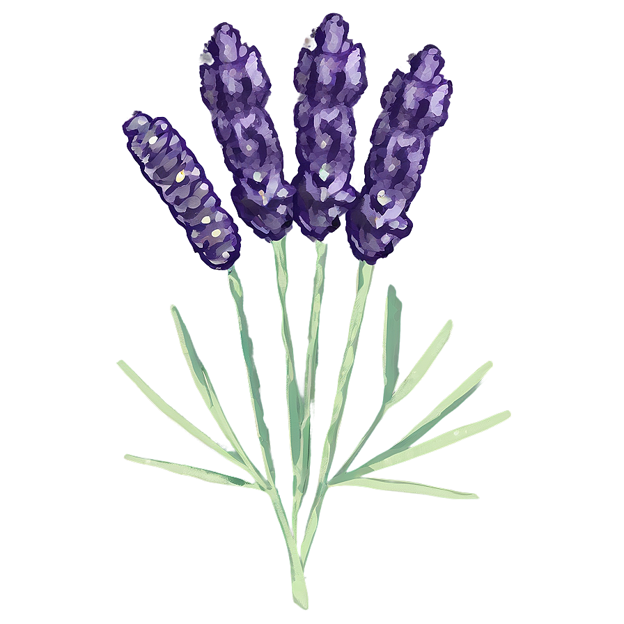 Dried Lavender Decor Png 06282024 PNG Image