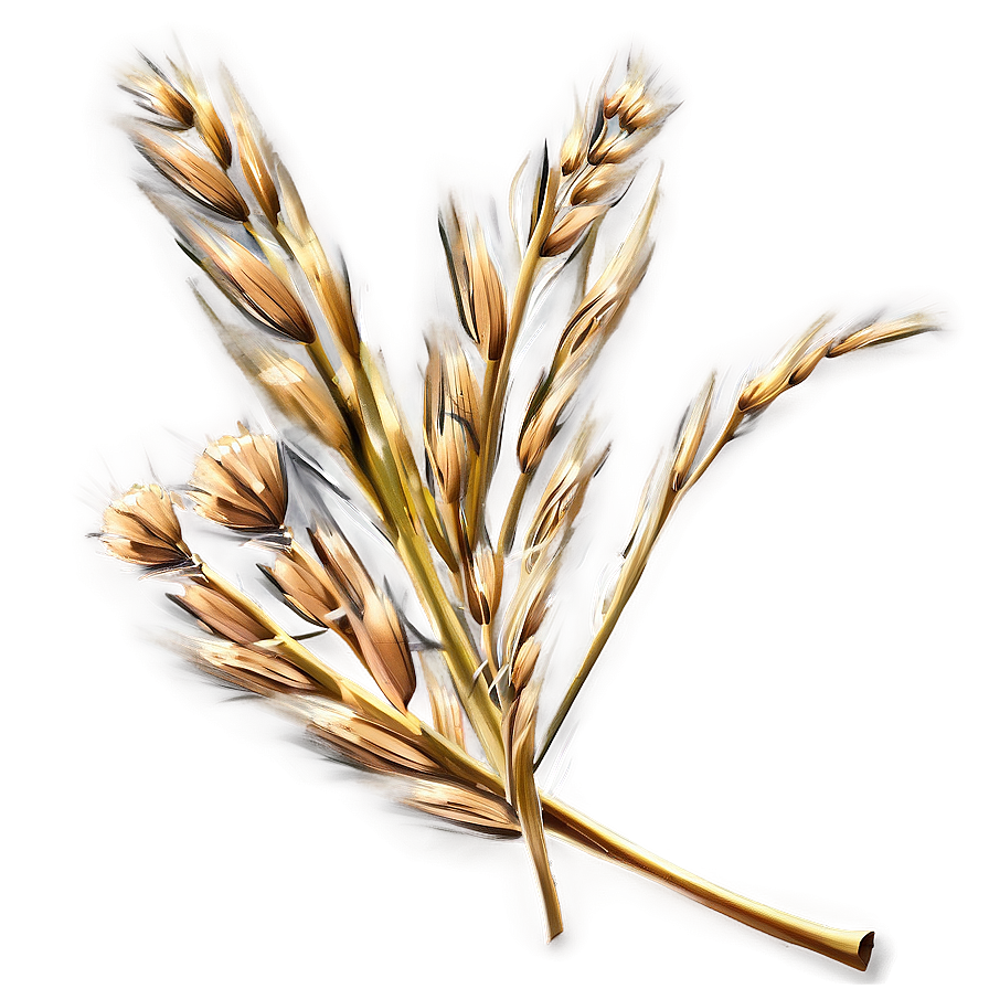 Dry Grass D PNG Image