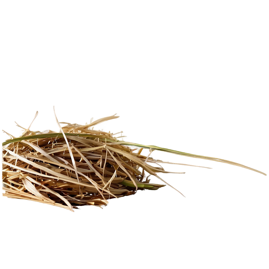 Dry Hay Texture Png Mtk84 PNG Image