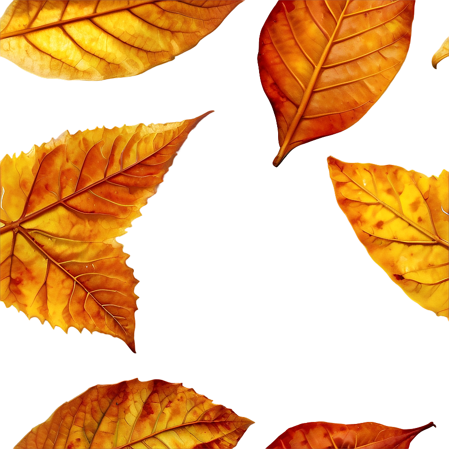 Dry Leaf Png 30 PNG Image