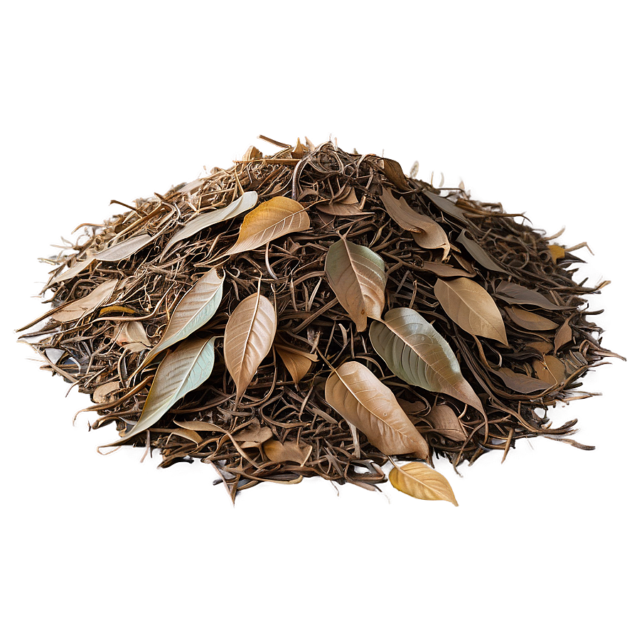 Dry Leaves Mound Png Mju76 PNG Image