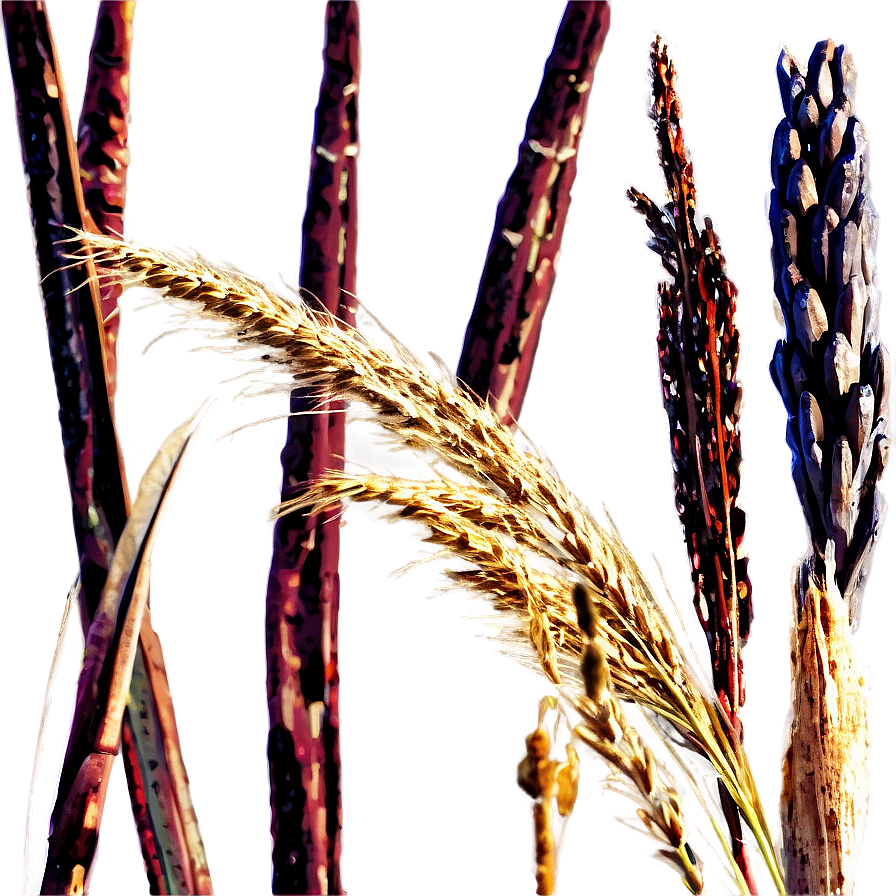 Dry Prairie Grass Png Edi PNG Image