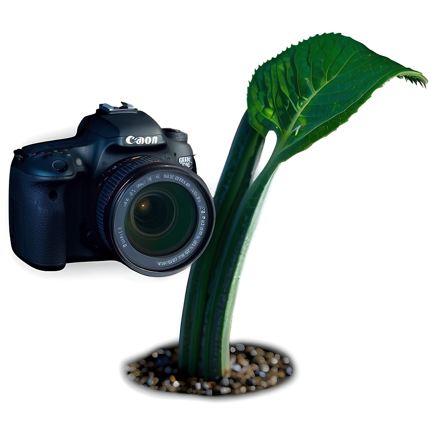 Dslr Camera For Wildlife Photography Png Mio PNG Image