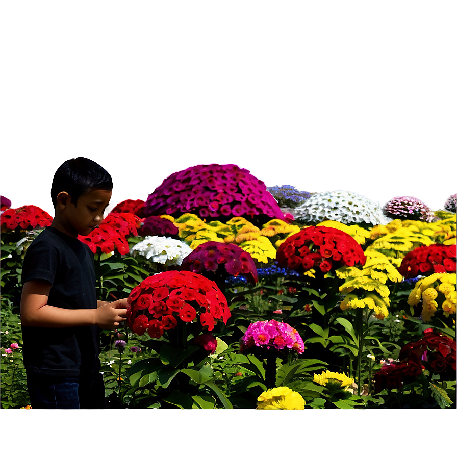 Dubai Miracle Garden Png 88 PNG Image