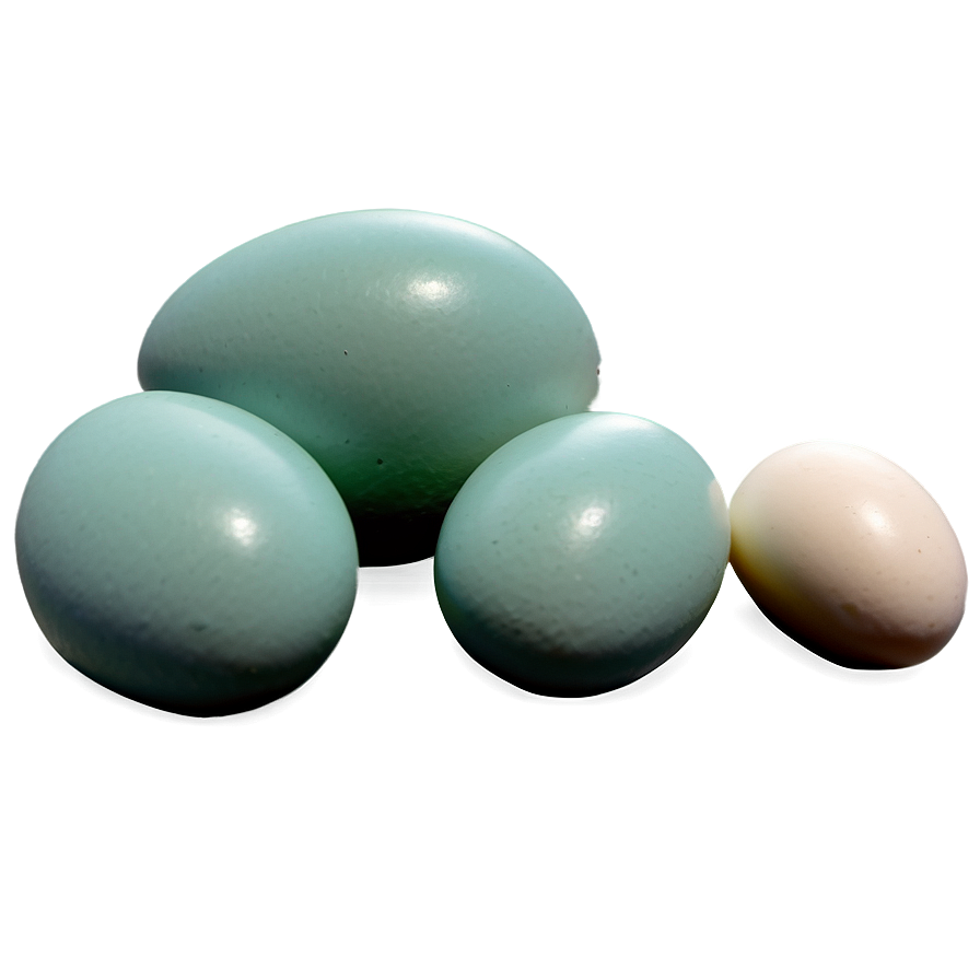 Duck Eggs Png 71 PNG Image