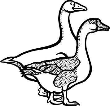 Duck Optical Illusion Graphic PNG Image