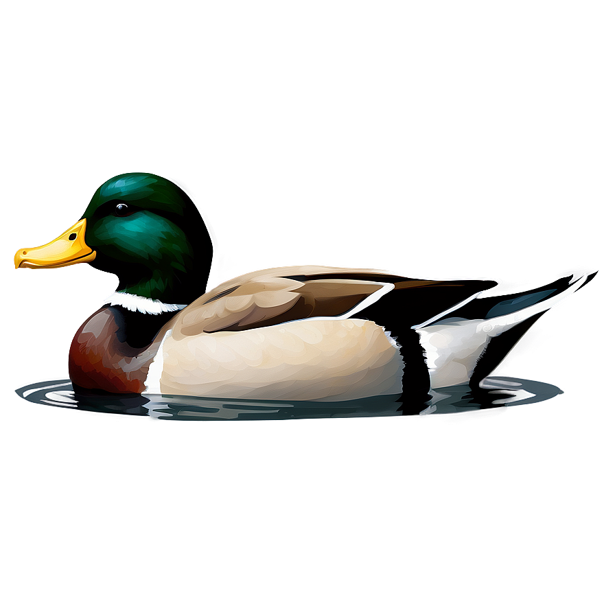 Duck Swimming Png Fqw PNG Image