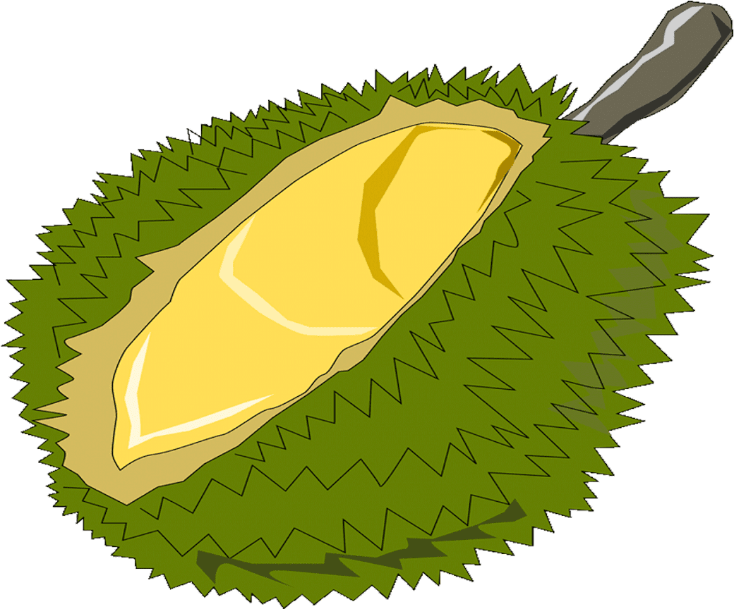 Durian Fruit Illustration.png PNG Image