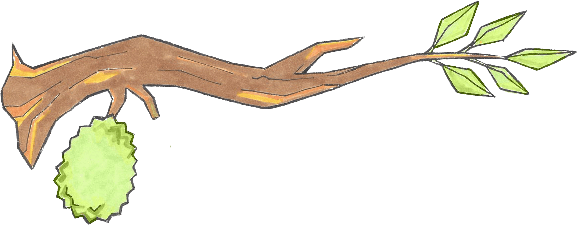 Durianon Tree Branch Illustration PNG Image