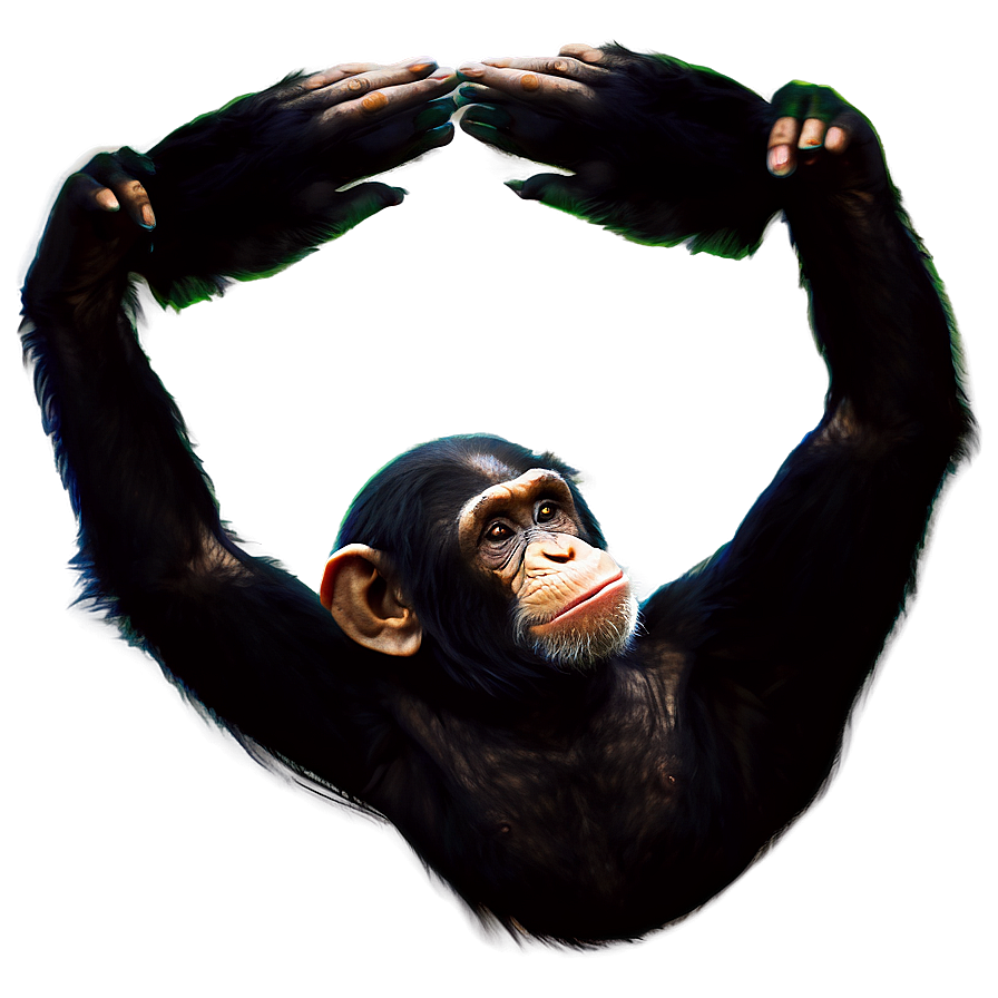 Dynamic Chimpanzee Movement Png Ekg PNG Image