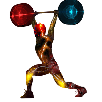 Dynamic Weightlifting Muscle Activation PNG Image