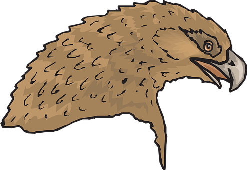 Eagle Head Illustration PNG Image