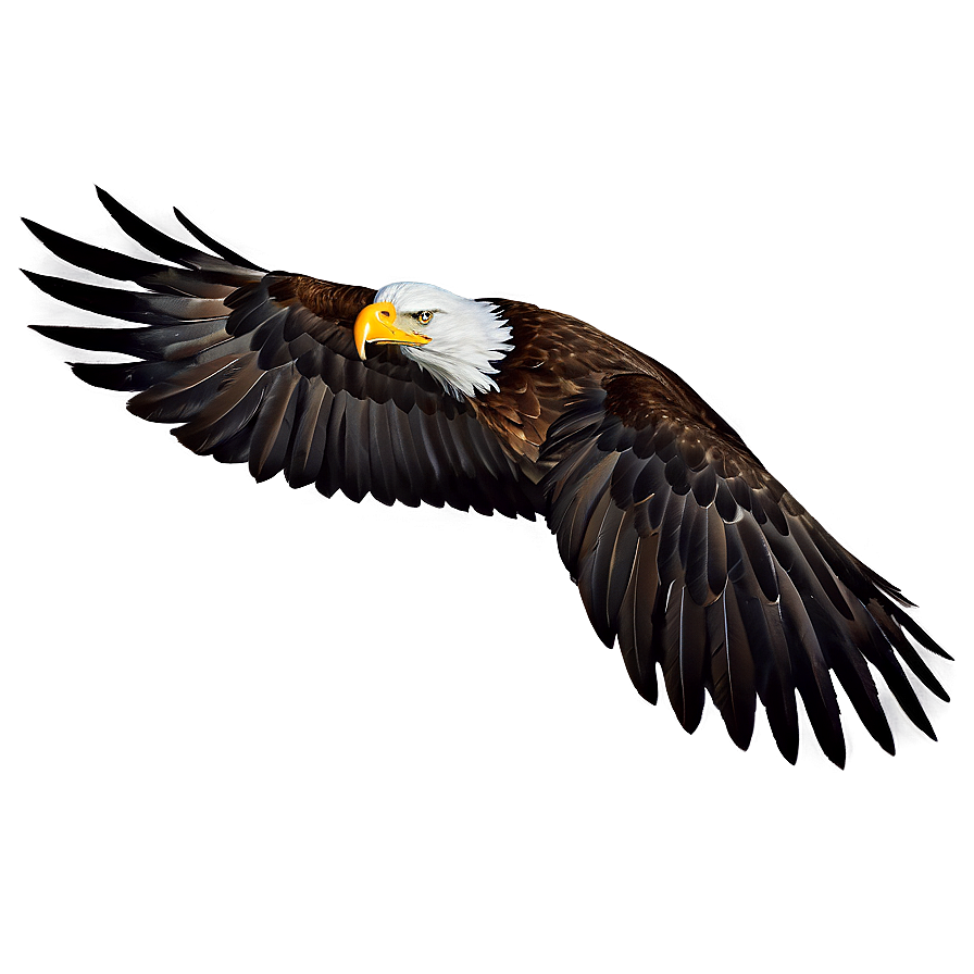 Eagle Head With Open Beak Png 06292024 PNG Image