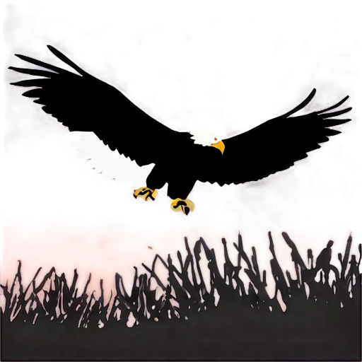 Eagle Silhouette At Dawn Png A PNG Image