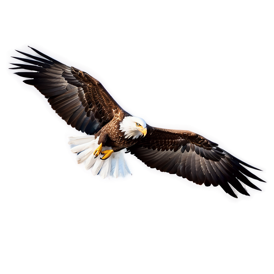 Eagle Wings In Flight Png Loo89 PNG Image