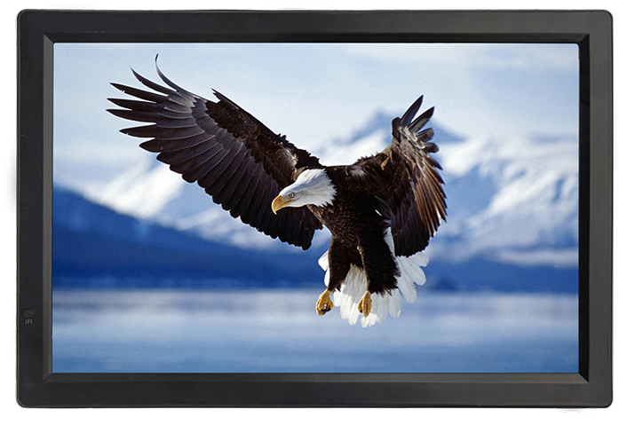 Eaglein Flight C R T Display PNG Image