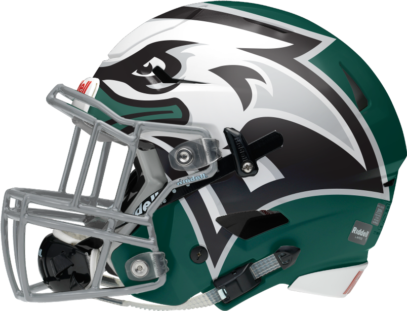 Eagles Themed Football Helmet PNG Image