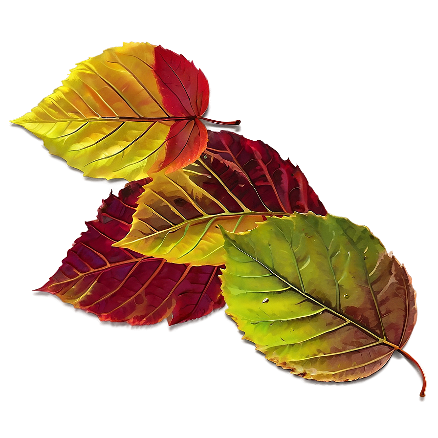 Early Autumn Fallen Leaves Png Wgo4 PNG Image