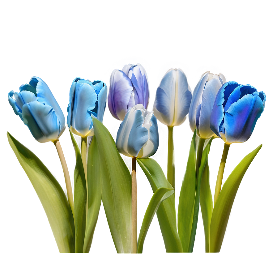 Early Spring Tulips Png Glj25 PNG Image