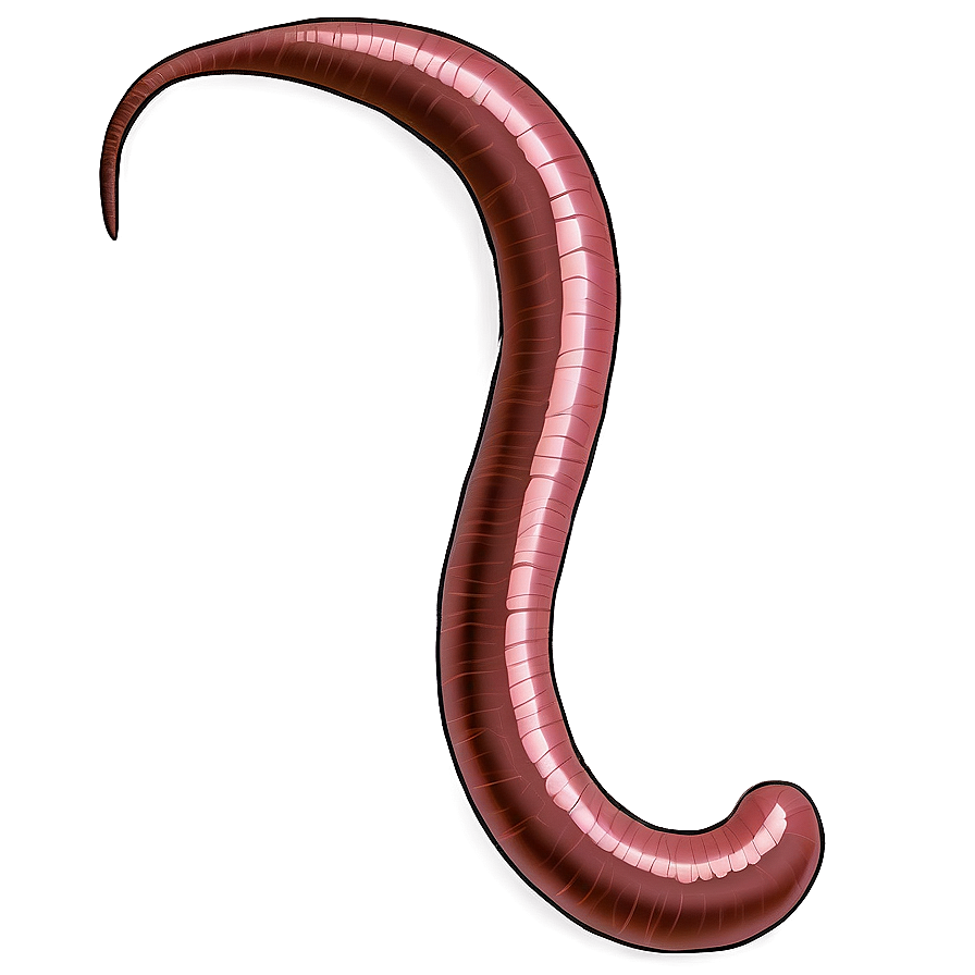 Earthworm Illustration Png 62 PNG Image