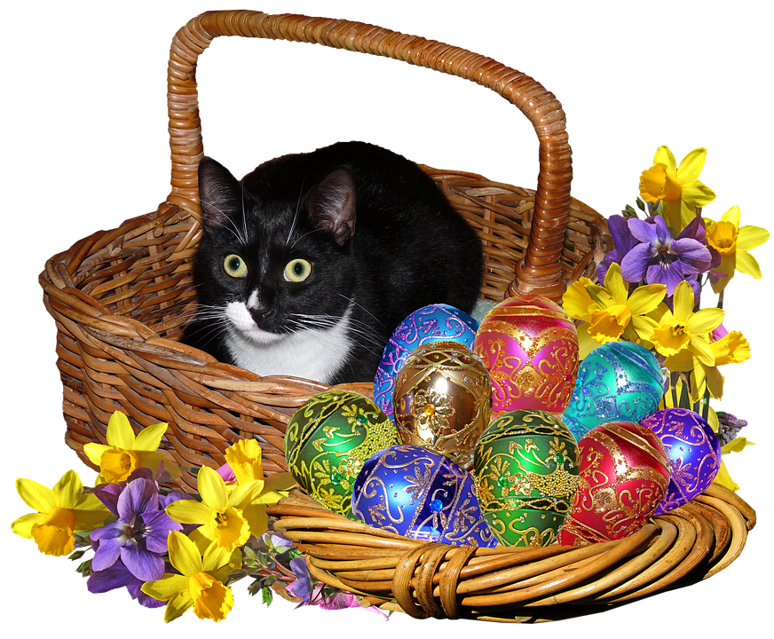 Easter Basket Catand Decorated Eggs PNG Image