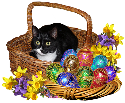 Easter Catin Basketwith Decorated Eggsand Flowers PNG Image