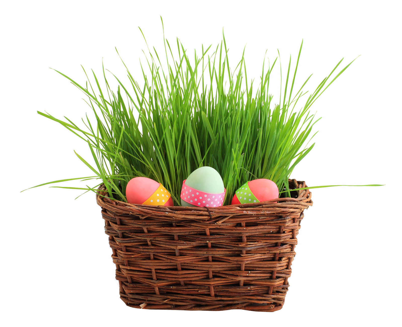 Easter Egg Basketwith Grass.png PNG Image