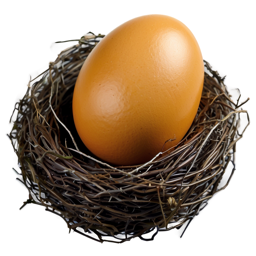 Easter Egg Nest Png 05252024 PNG Image