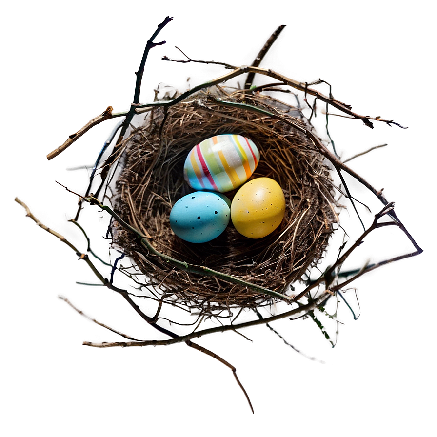 Easter Egg Nest Png Upc65 PNG Image