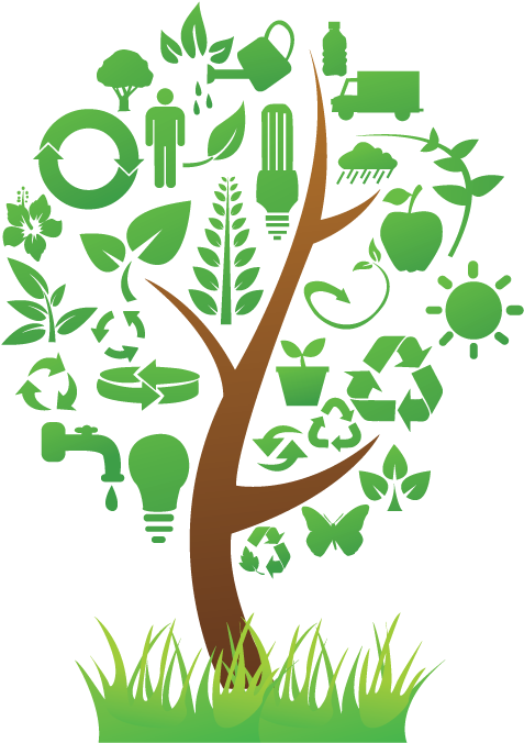 Eco Friendly Concept Tree PNG Image