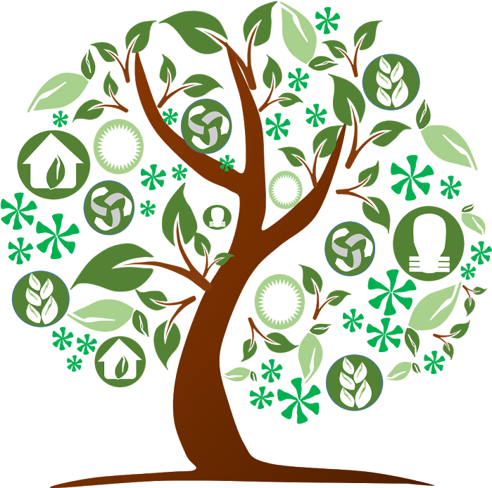 Eco Friendly Concept Tree PNG Image