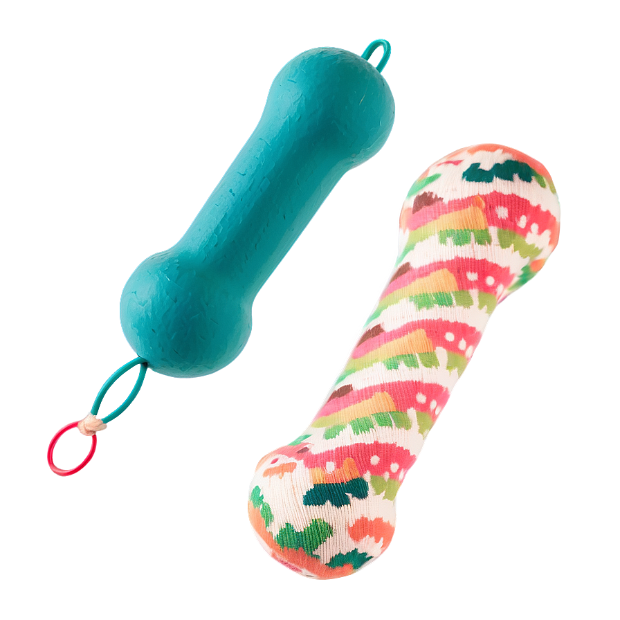 Eco-friendly Dog Toy Png 72 PNG Image