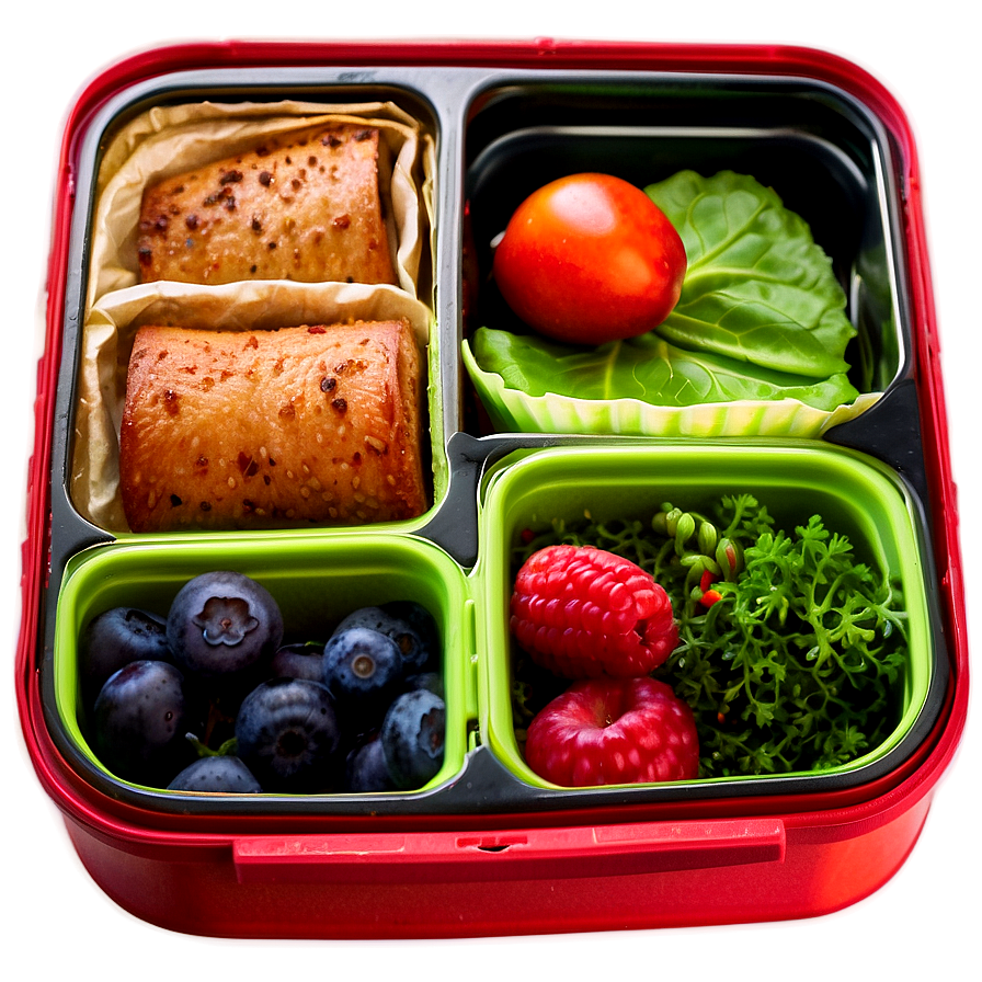 Eco-friendly Lunchbox Png 9 PNG Image