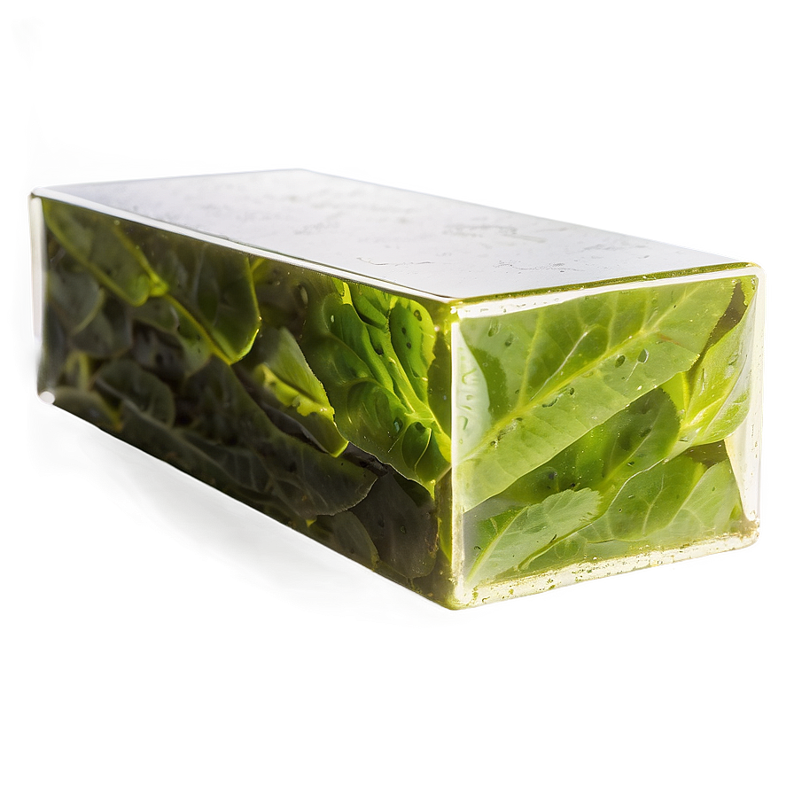 Eco-friendly Rectangular Prism Png 1 PNG Image