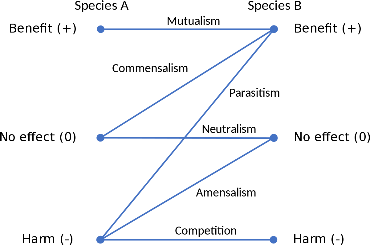 Ecological Interactions Chart PNG Image