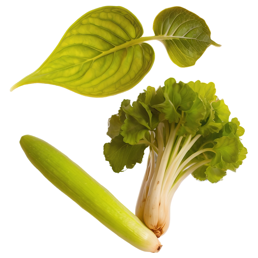 Edible Garden Crops Png Yfg PNG Image