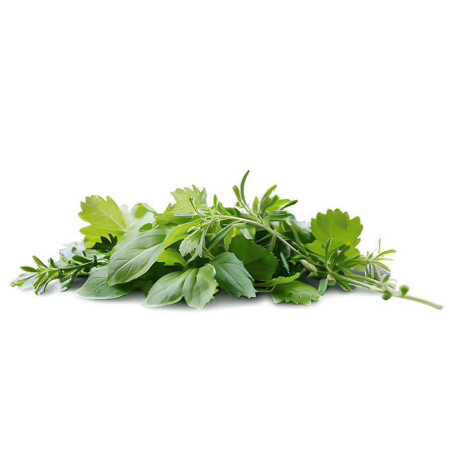 Edible Herb Png Tbf PNG Image